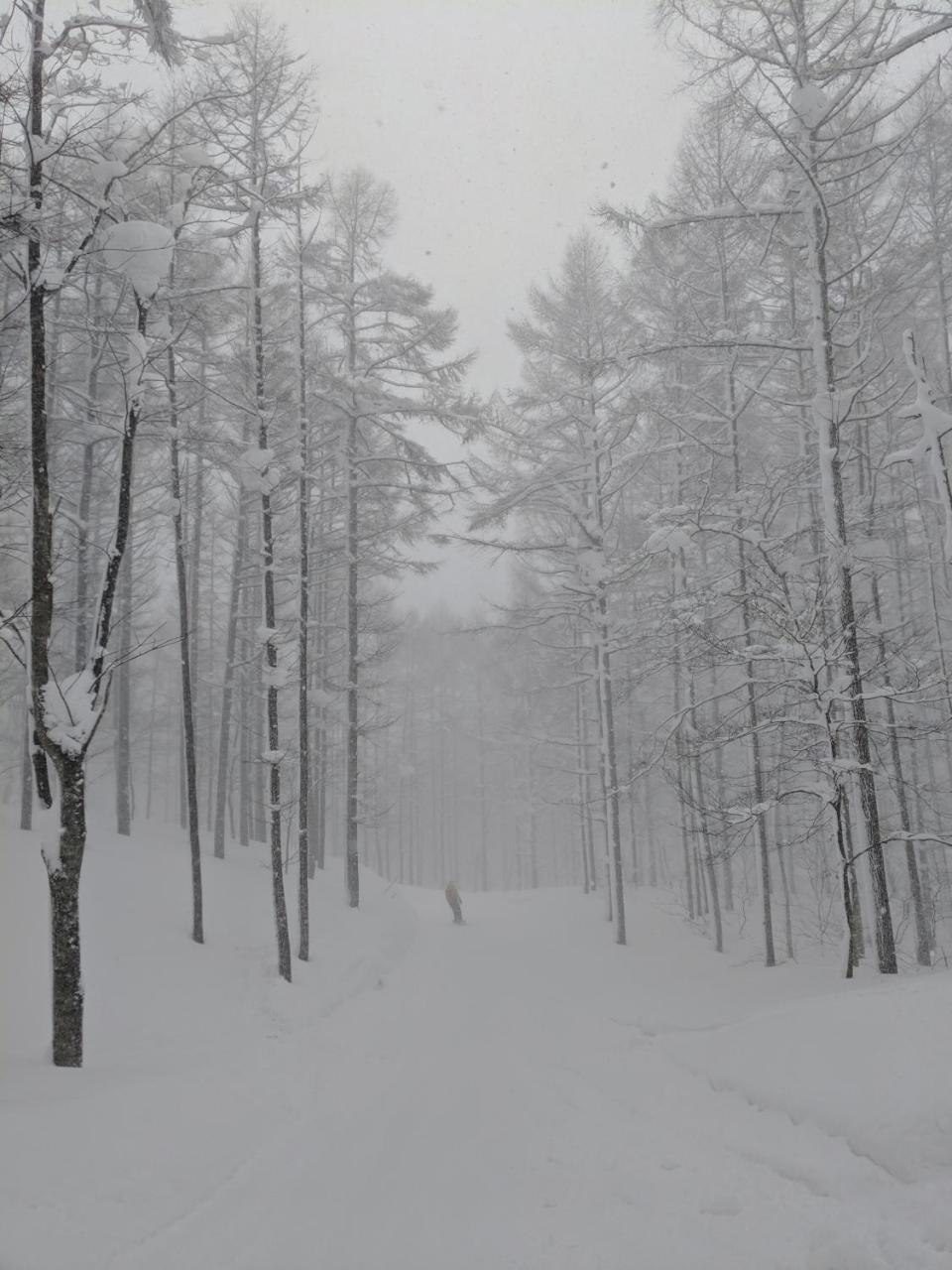 Raicho Lodge Madarao Iiyama Buitenkant foto
